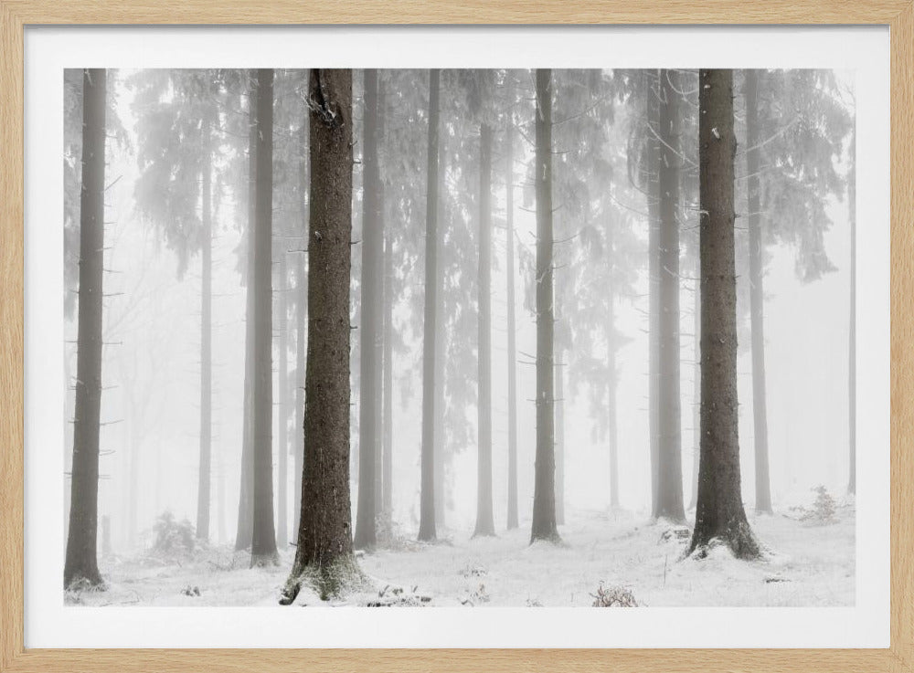 Winterbos | Poster