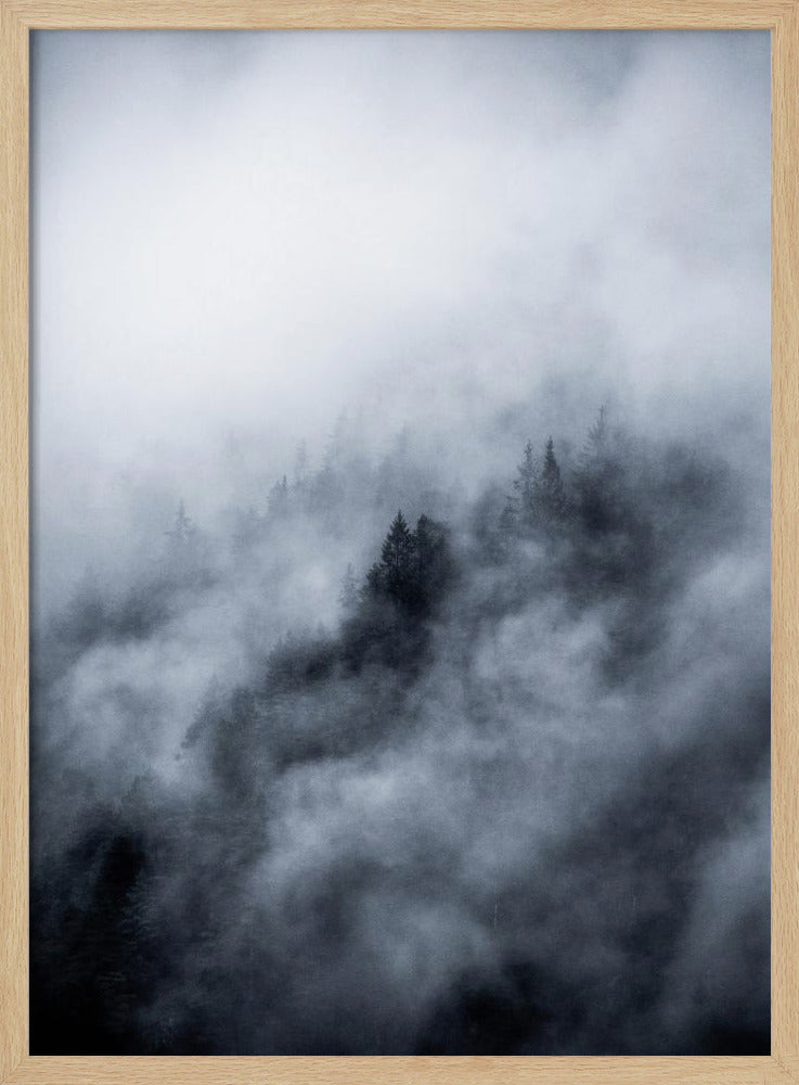 Mistige ochtend 3 | Poster
