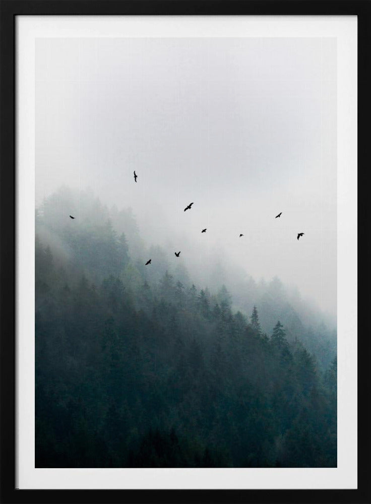 Mistige ochtend 4 | Poster