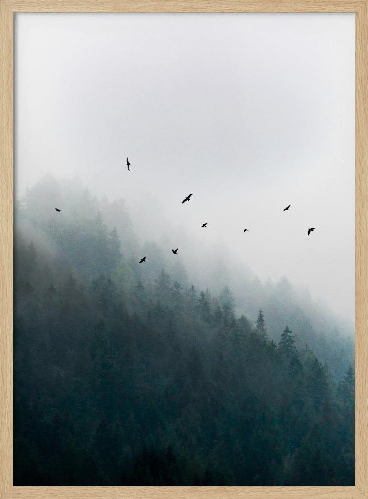 Mistige ochtend 4 | Poster