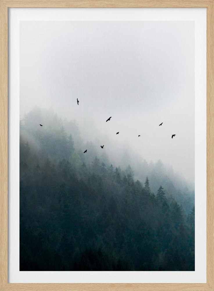 Mistige ochtend 4 | Poster