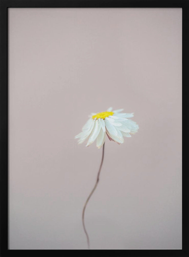 Fragile 1 | Poster