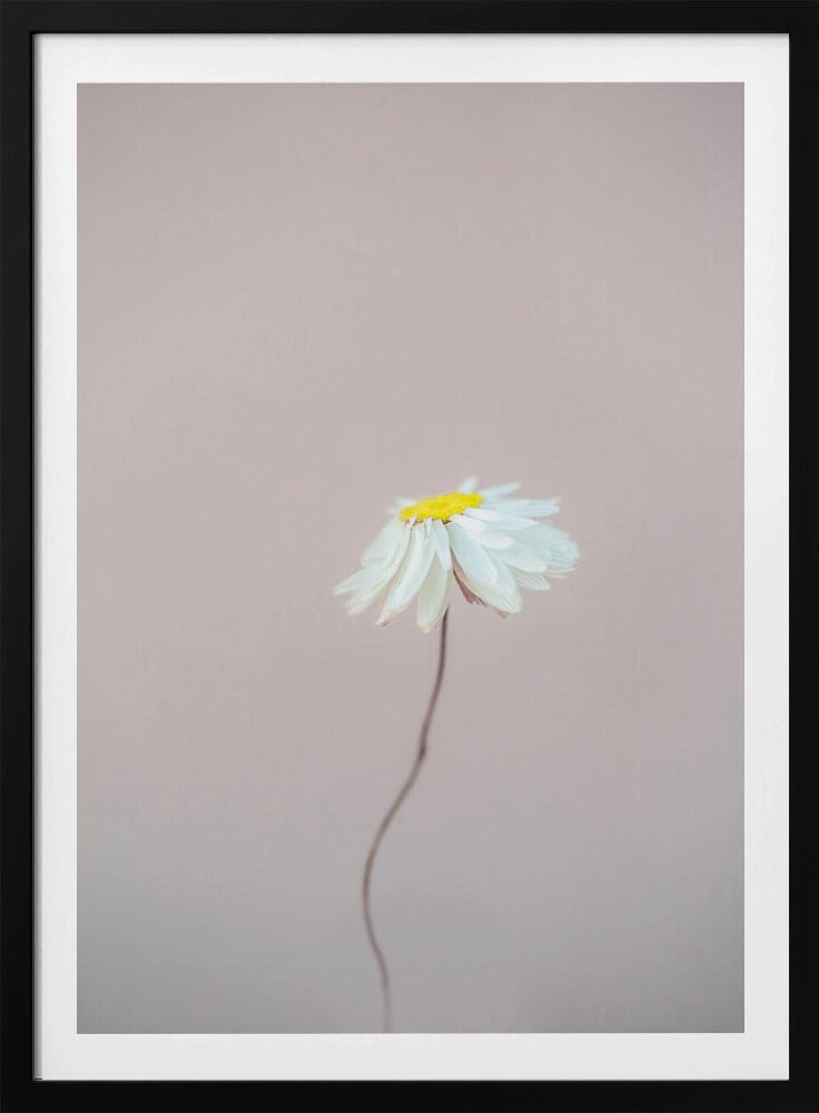 Fragile 1 | Poster
