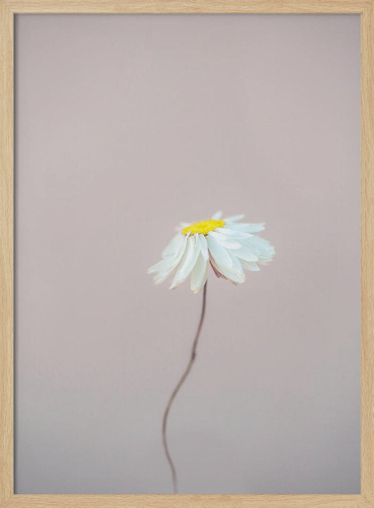 Fragile 1 | Poster