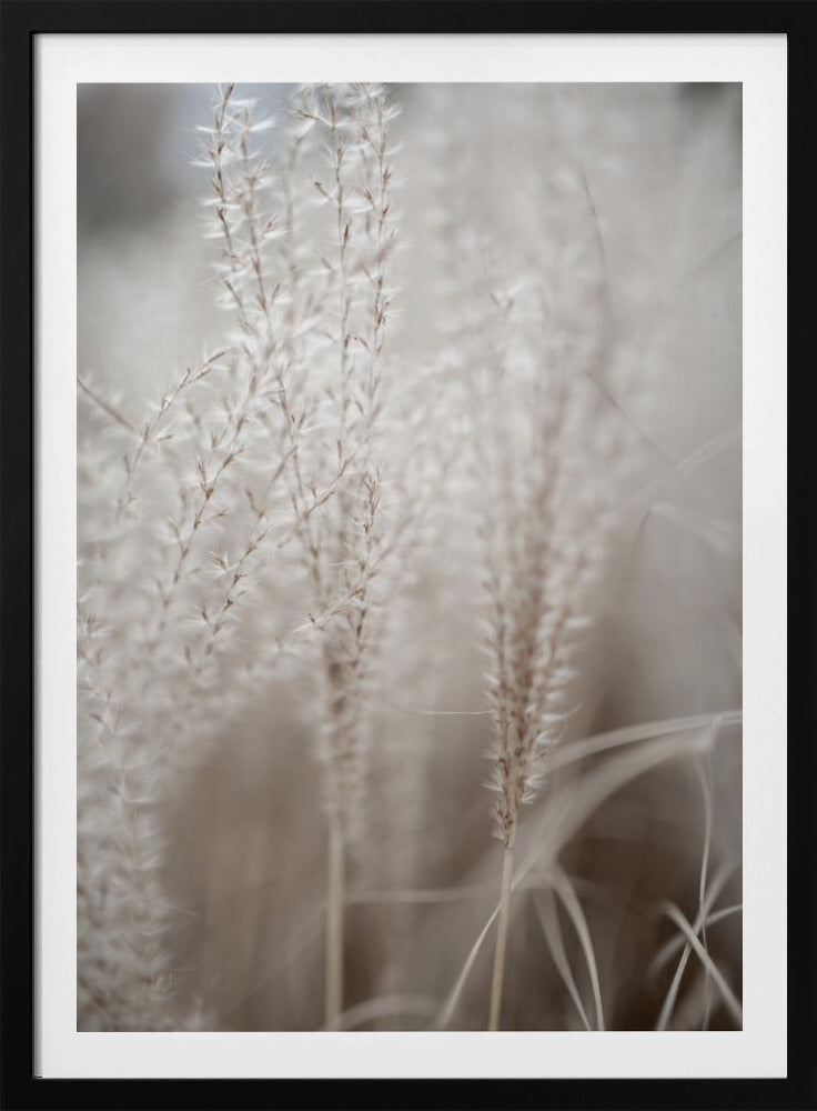 Grass 18 | Poster
