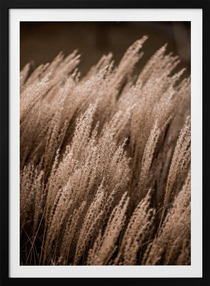Grass 16 | Poster