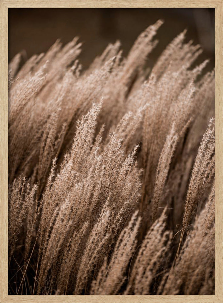 Grass 16 | Poster