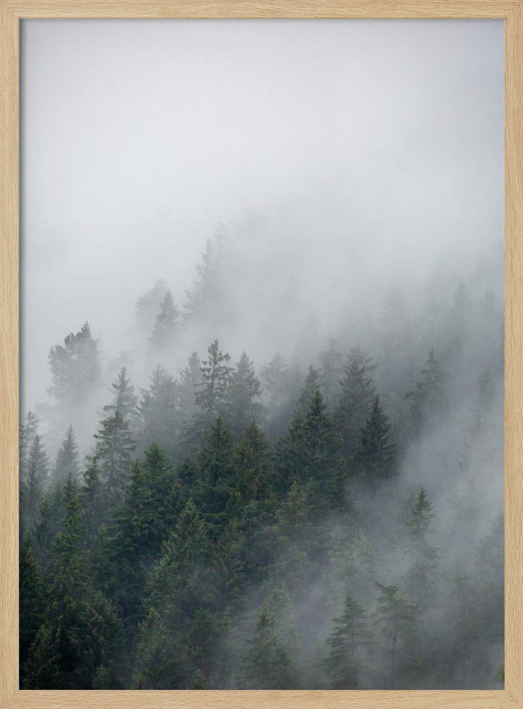 Mistige ochtend 2 | Poster