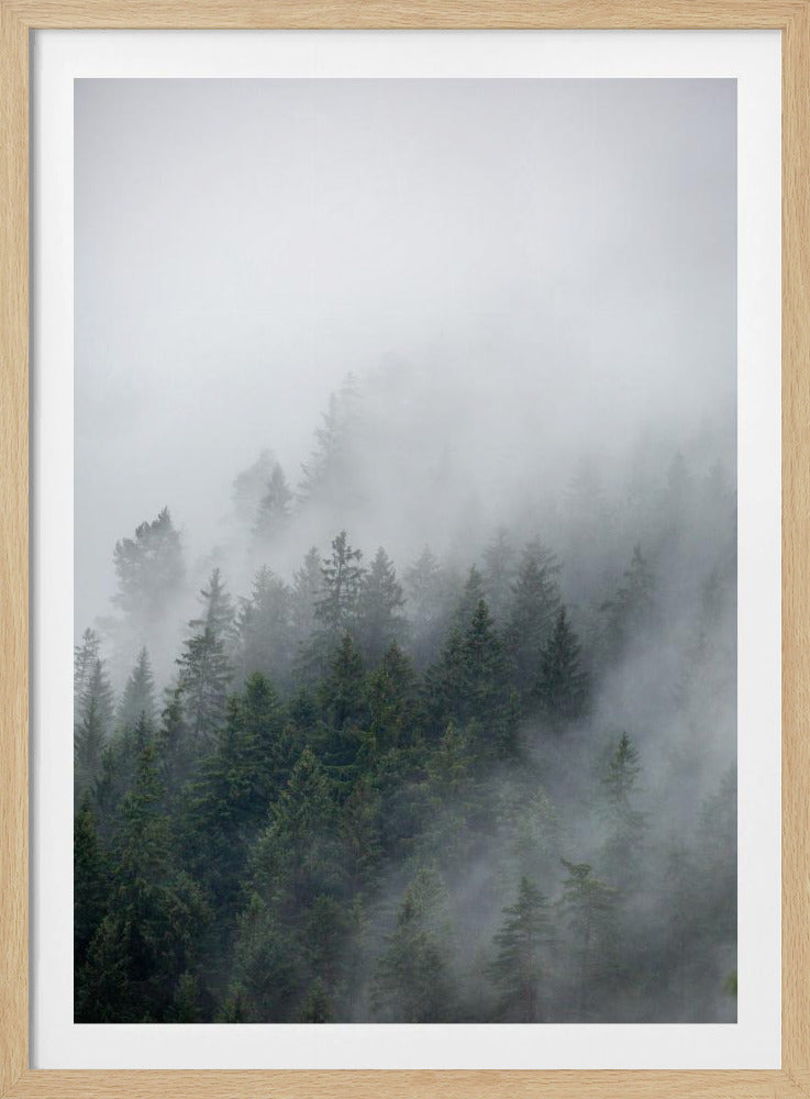 Mistige ochtend 2 | Poster