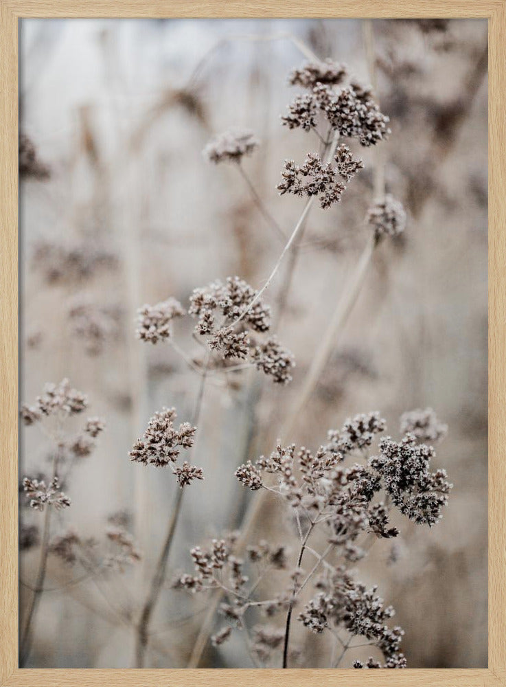 Unknown 8 | Poster