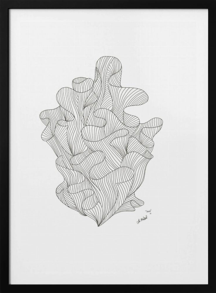 Coral Jpeg | Poster