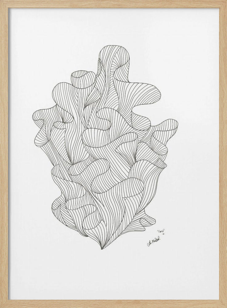 Coral Jpeg | Poster