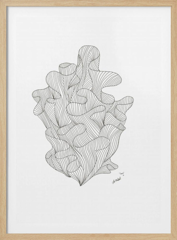 Coral Jpeg | Poster