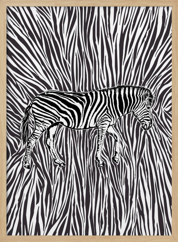 Afrikaanse zebra in opvallende camouflage | Poster