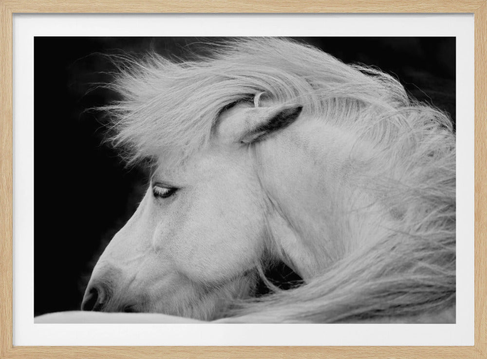 Luister naar de wind | Poster
