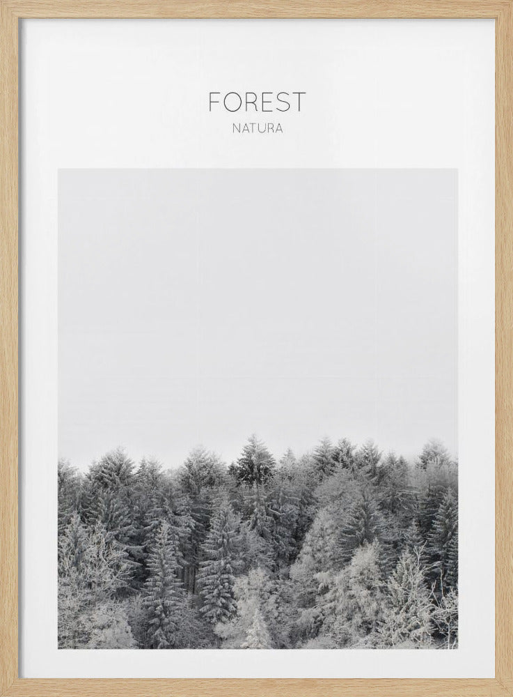 Bevroren rust | Poster