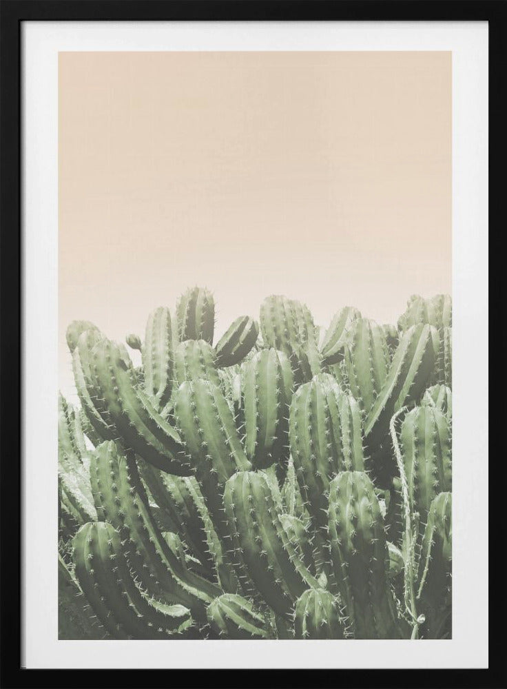 De omhelzing van de woestijn | Poster