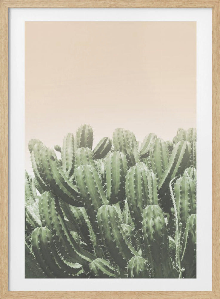 De omhelzing van de woestijn | Poster