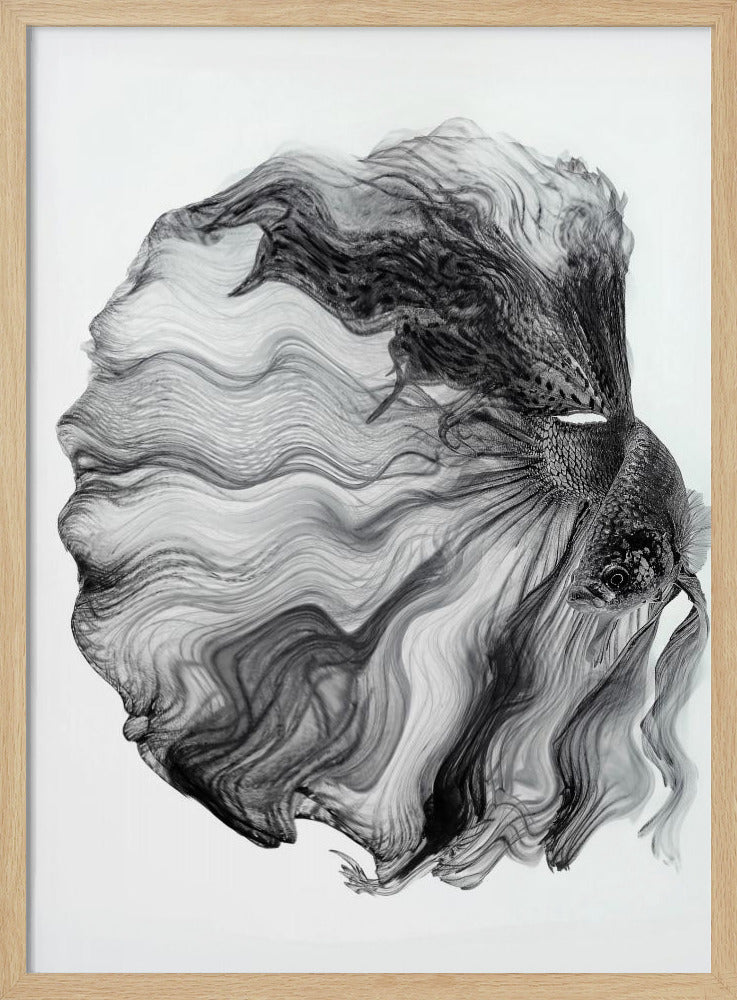 INKT BETTA | Poster