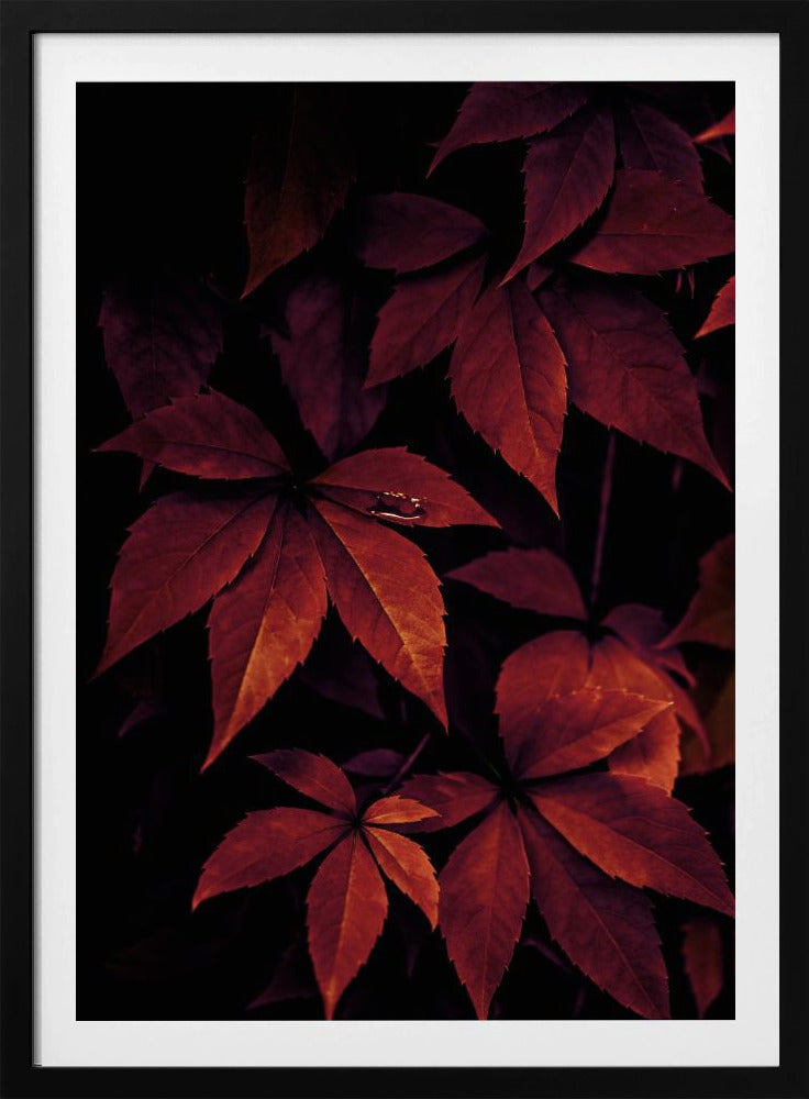 Dark Leaves 7X | Poster