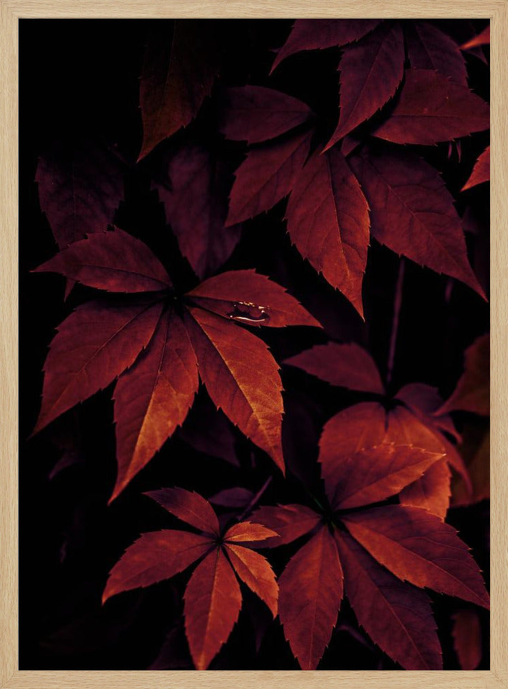 Dark Leaves 7X | Poster