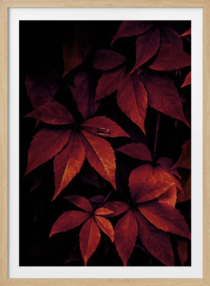 Dark Leaves 7X | Poster