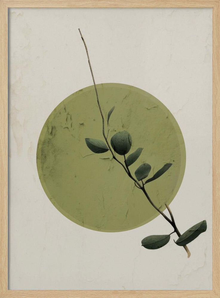 Groene Sereniteitscirkel | Poster