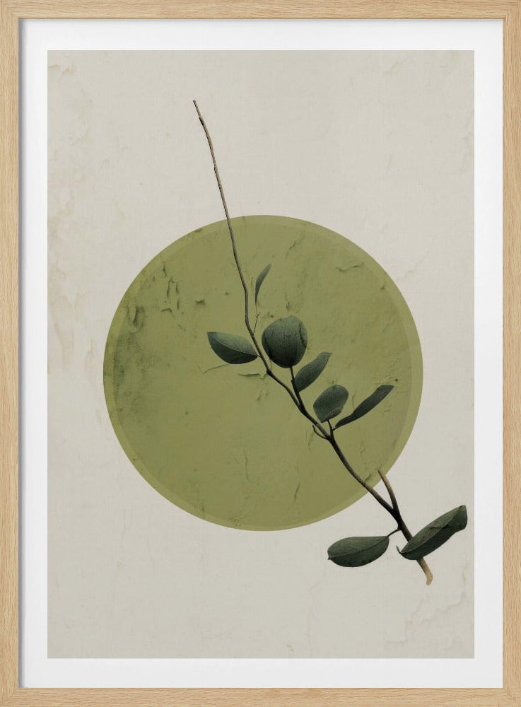 Groene Sereniteitscirkel | Poster