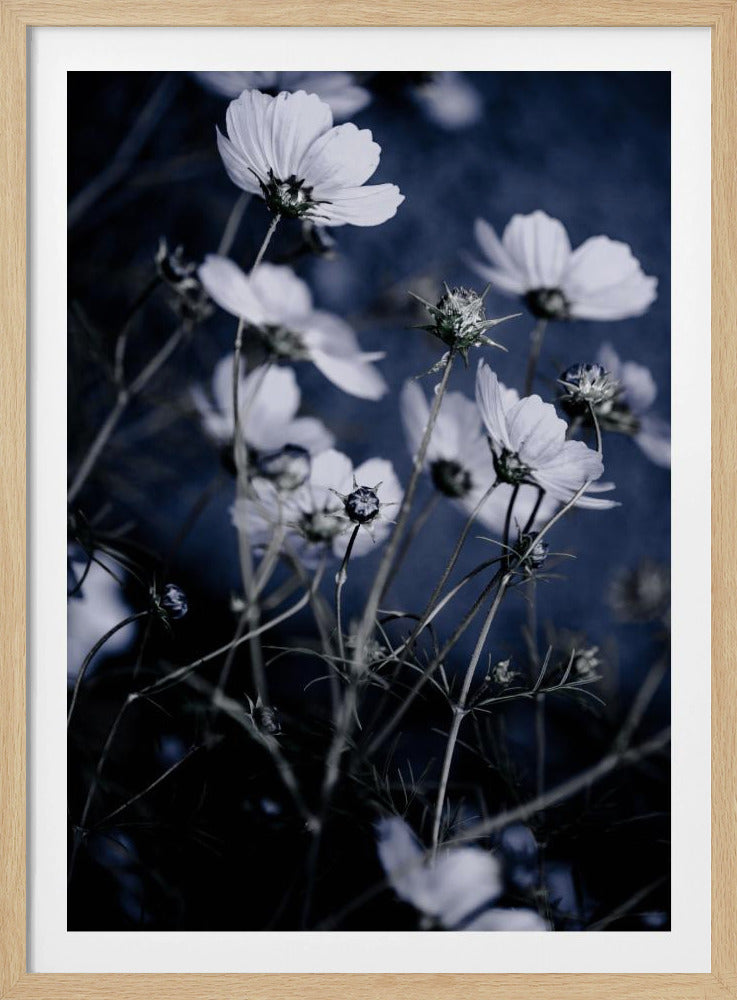 Wilde Bloemen 10 | Poster