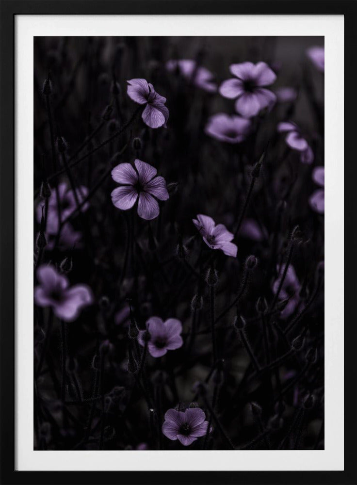 Donkere Bloemen 10 | Poster