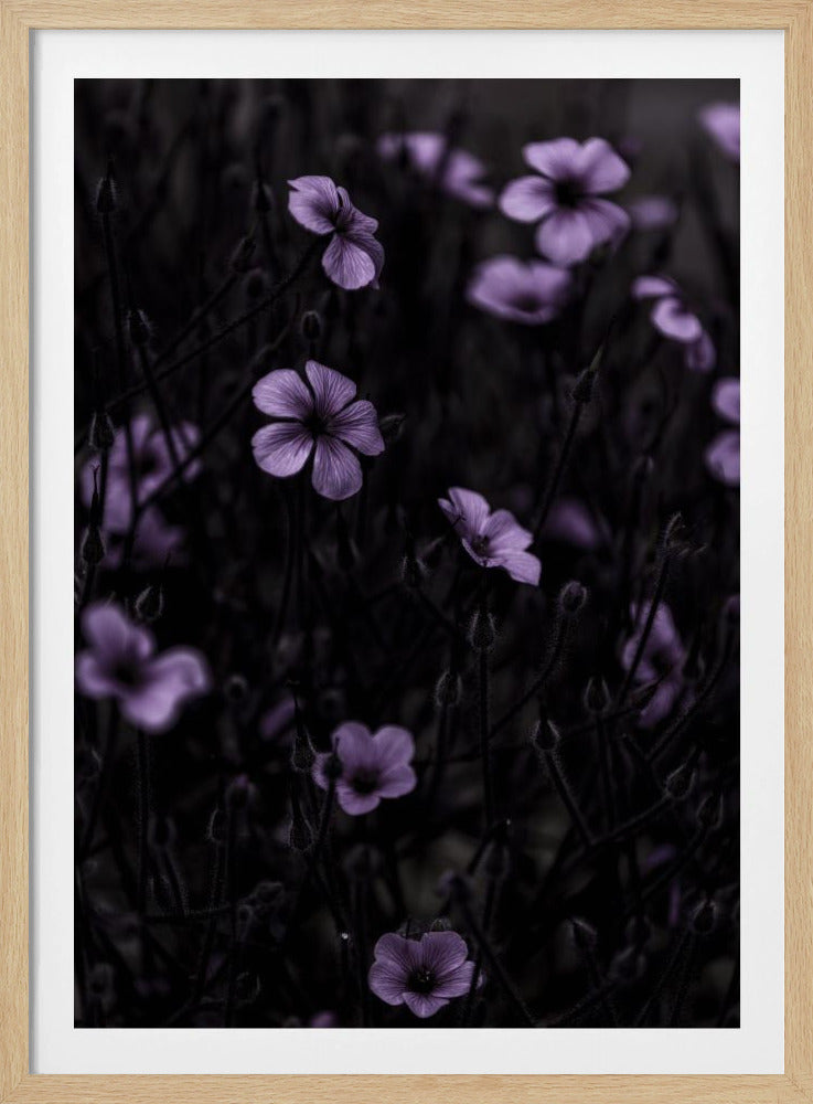 Donkere Bloemen 10 | Poster