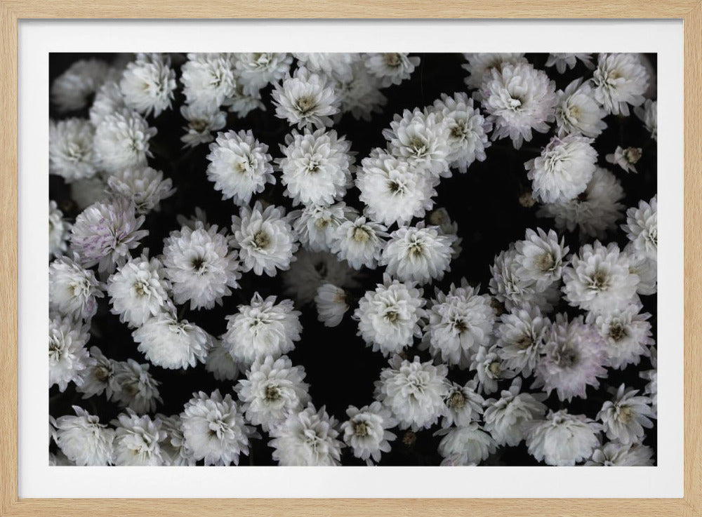 Tiny Flowers 3 | Poster
