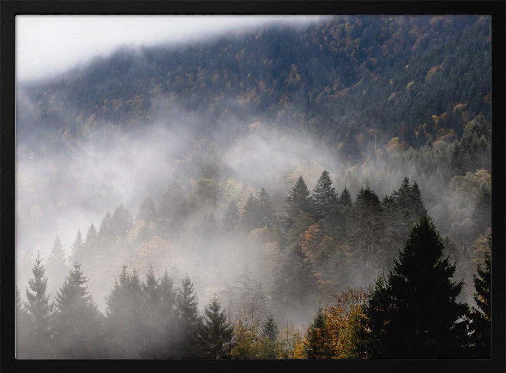 Mistige bossen 9 | Poster