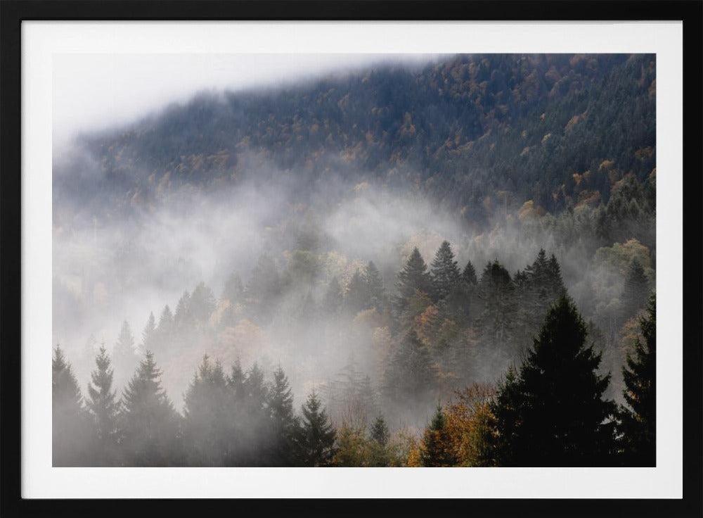 Mistige bossen 9 | Poster