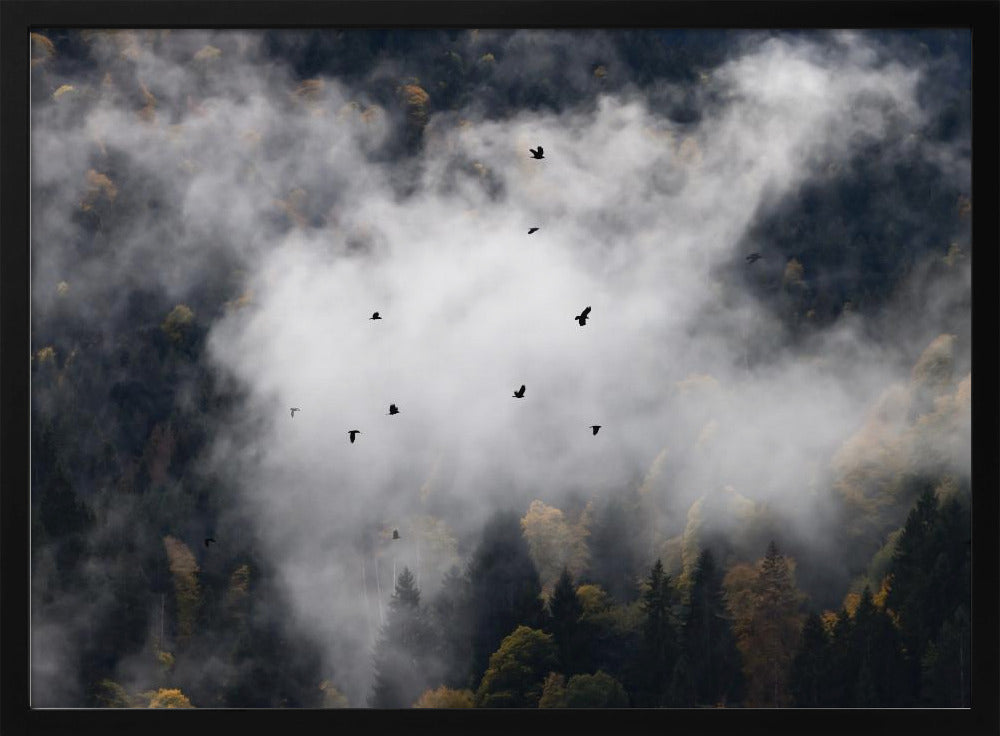 Mistige bossen 8 | Poster