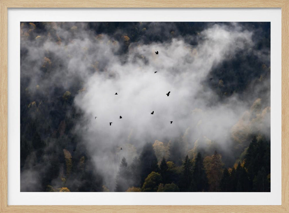 Mistige bossen 8 | Poster