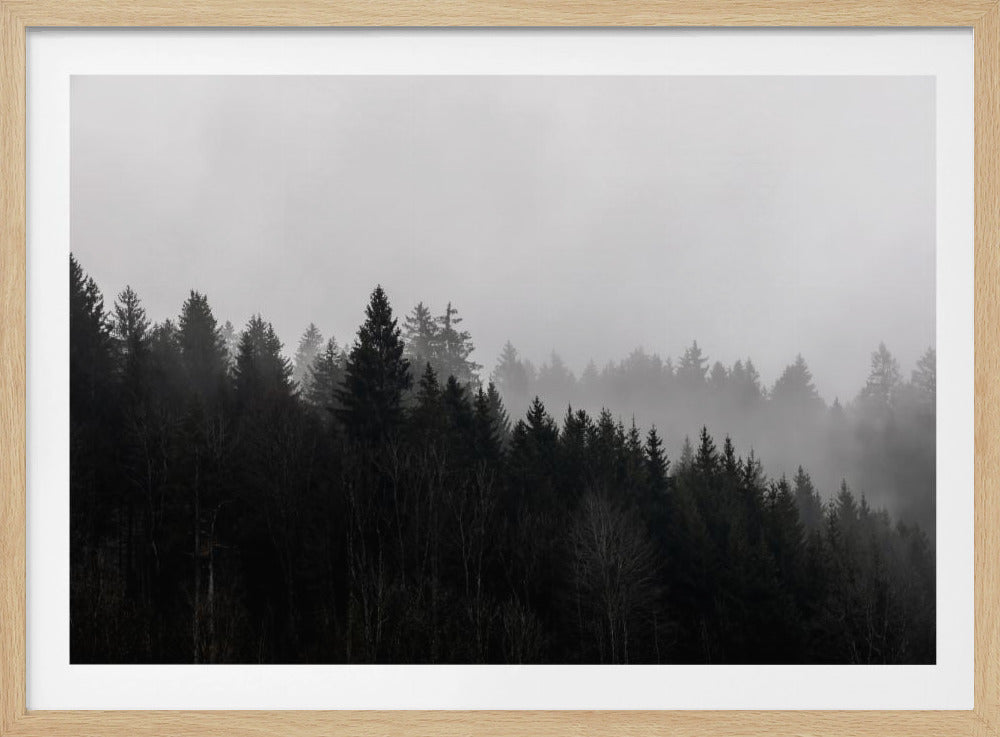 Mistige bossen 7 | Poster