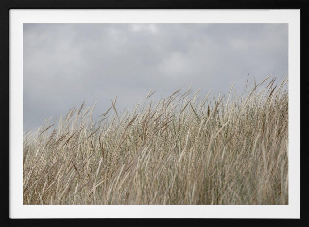 Duinen en wolken | Poster
