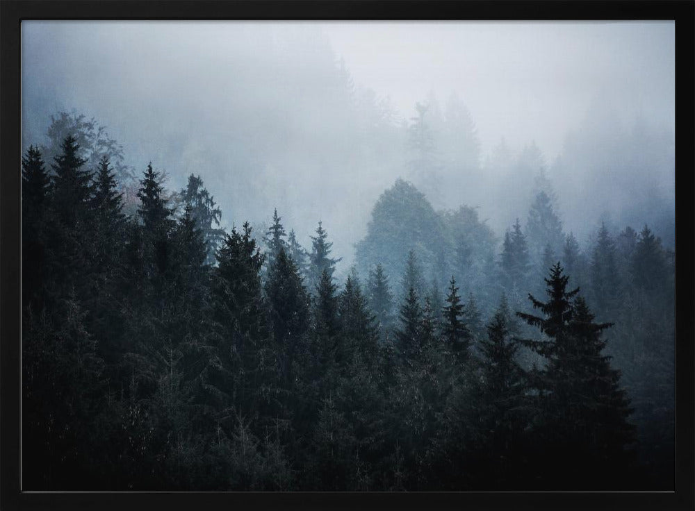 Mistige bossen 5 | Poster