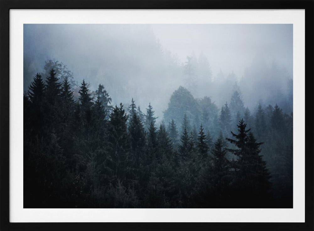 Mistige bossen 5 | Poster