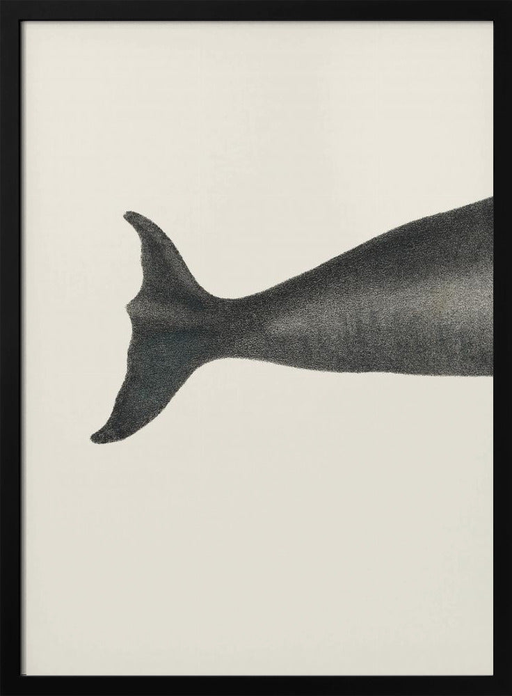 Whale Tight Crop I Handcolored Sealife Lithograph 1824 | Poster