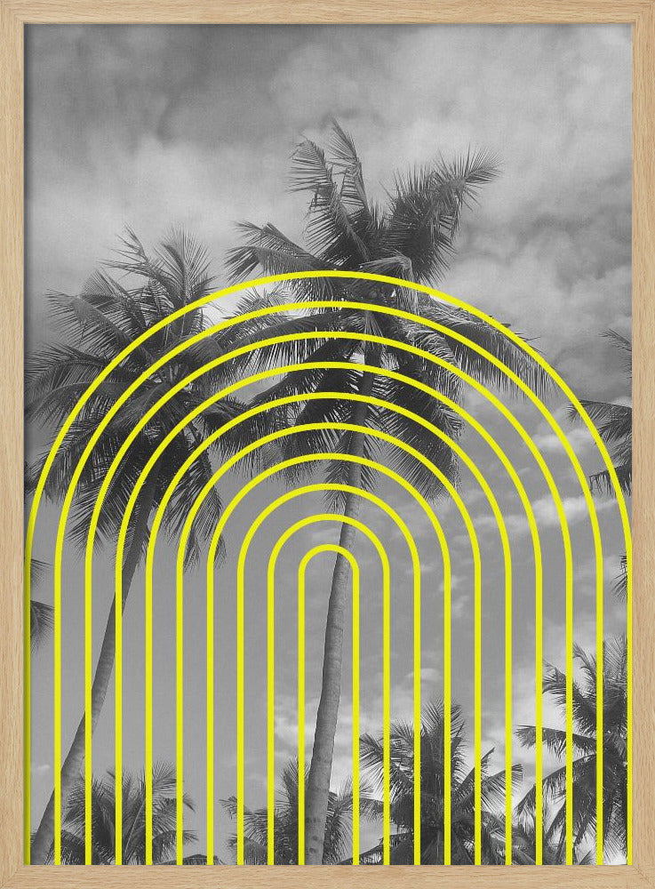 Tropische echo's | Poster