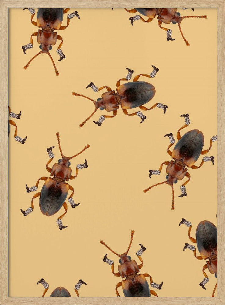 Billy de Gelaarsde Kever | Poster