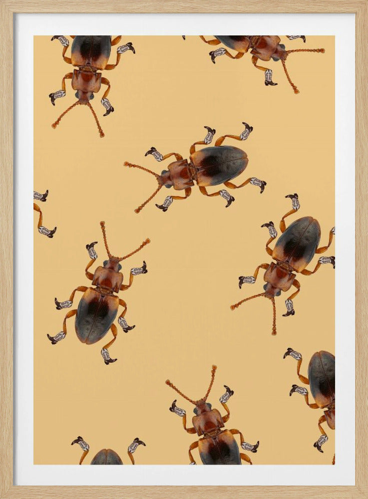 Billy de Gelaarsde Kever | Poster