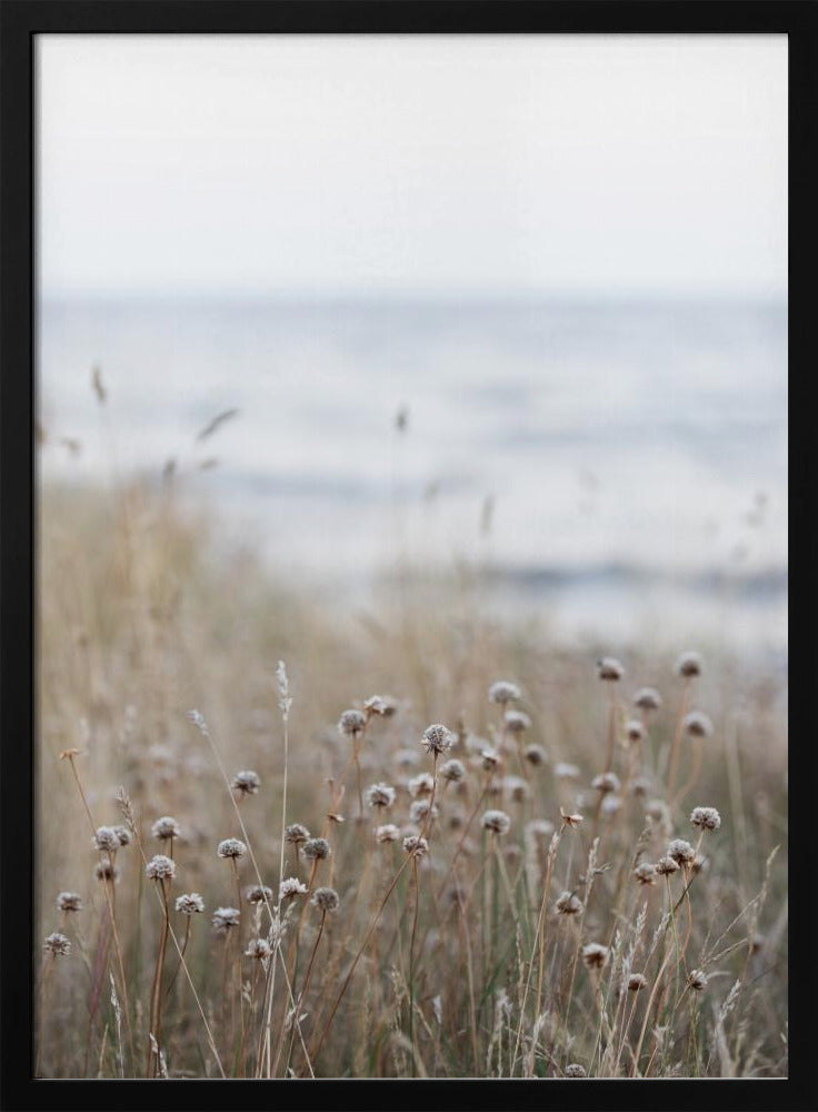 Kustlandschappen 4 | Poster