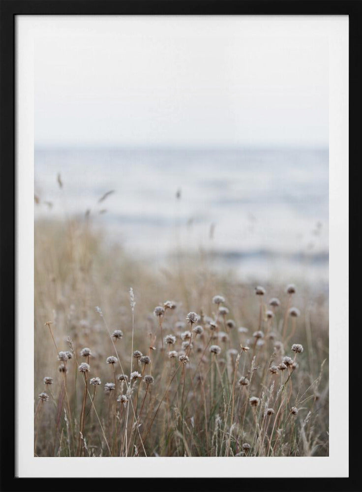 Kustlandschappen 4 | Poster