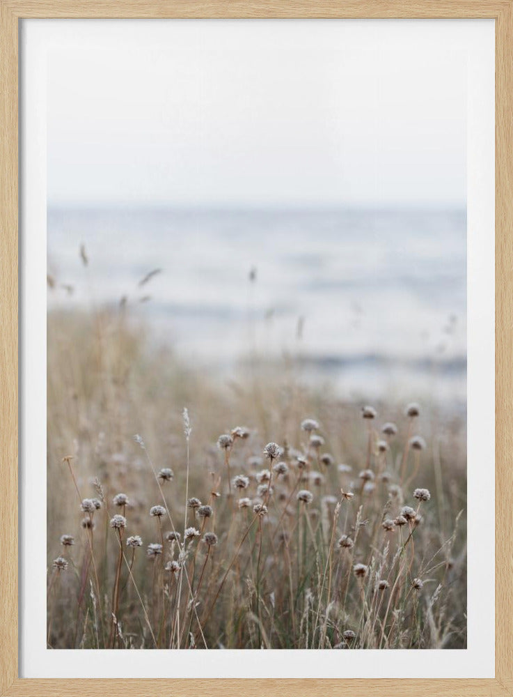 Kustlandschappen 4 | Poster
