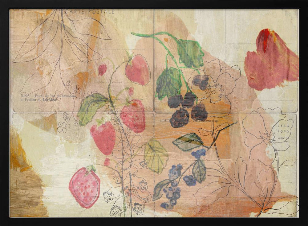 Fruit ansichtkaarten | Poster