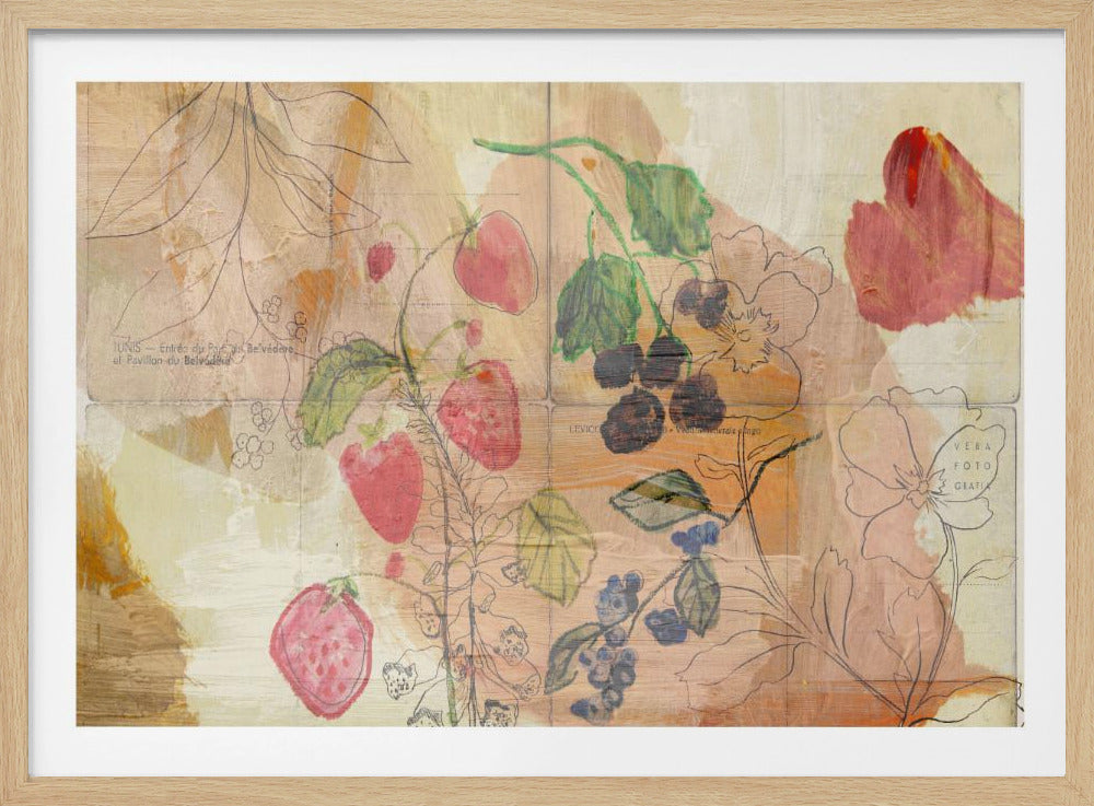 Fruit ansichtkaarten | Poster