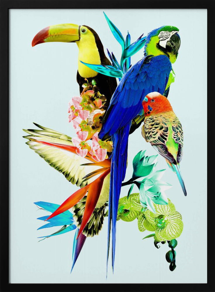 Paradijsvogels II | Poster